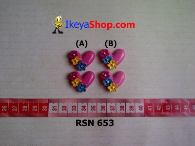 rsn 653  large2